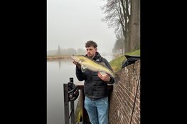 122 koppels doen mee aan tweede Streetfish-wedstrijd in Purmerend: "Groot succes"
