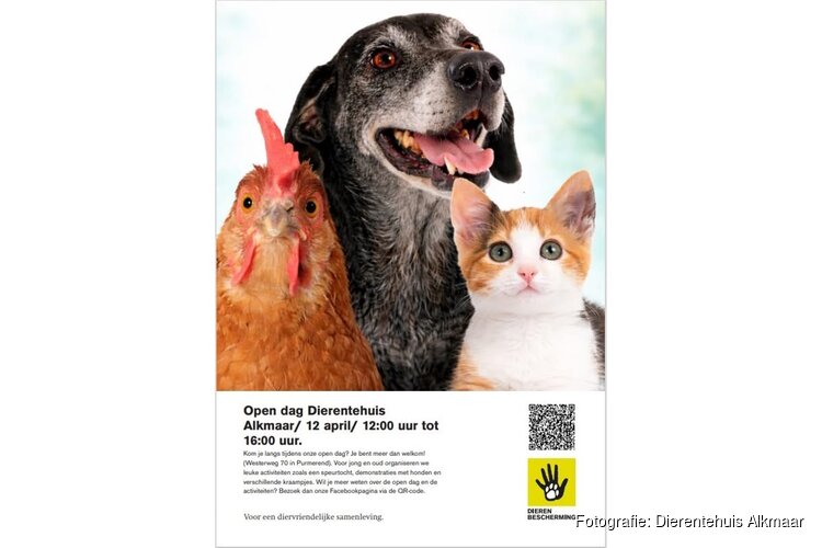 Open dag Dierentehuis Alkmaar