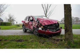 Auto total loss na botsing tegen boom in Middenbeemster