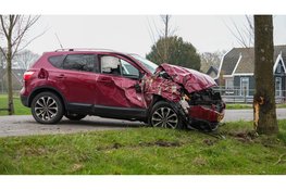 Auto total loss na botsing tegen boom in Middenbeemster