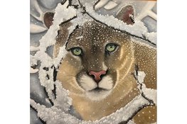 Ogen die blijven volgen: de betoverende dierenkunst van Verti Marjot bij de VVV