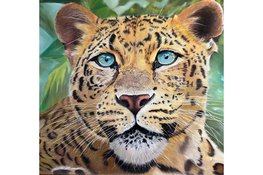 Ogen die blijven volgen: de betoverende dierenkunst van Verti Marjot bij de VVV