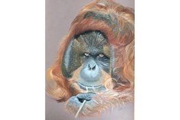 Ogen die blijven volgen: de betoverende dierenkunst van Verti Marjot bij de VVV