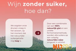 Hello Wine, Goodbye Sugar