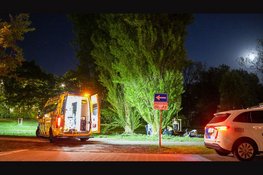 Man zwaargewond na val uit boom