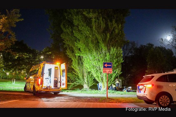 Man zwaargewond na val uit boom