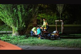 Man zwaargewond na val uit boom