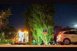 Man zwaargewond na val uit boom