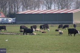 Landbouwportaal Noord-Holland open: vraag subsidie en advies aan
