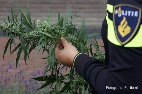 Hennepkwekerij ontdekt in bedrijfspand Purmerend