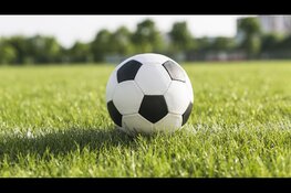 Enkele sportparken in Purmerend en Beemster gratis toegankelijk
