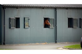 Brand in paardenstal Noordbeemster, zwarte rook zichtbaar