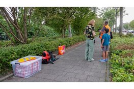 Nest Aziatische Hoornaar aangetroffen in Purmerend