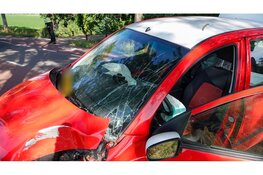 Automobilist gewond bij botsing tegen boom Zuidoostbeemster