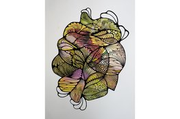 Waar mens en natuur elkaar ontmoeten: kunst van Cindy Doff bij de VVV