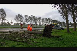 Boom valt op rijdende auto op A7 bij Noordbeemster