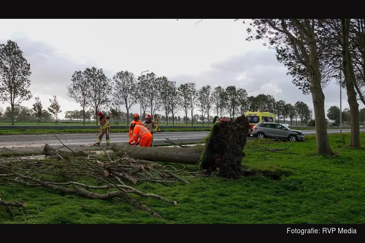Boom valt op rijdende auto op A7 bij Noordbeemster