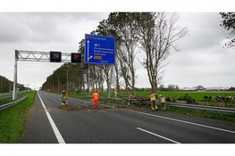 Omgewaaide boom blokkeert A7 bij Middenbeemster