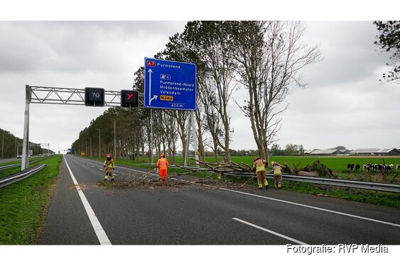 Omgewaaide boom blokkeert A7 bij Middenbeemster