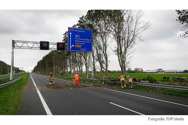 Omgewaaide boom blokkeert A7 bij Middenbeemster
