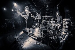 Rhinorino en Stories from Shamehill op 3 maart in P3