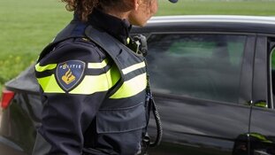 Honden in warme auto's achtergelaten