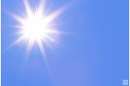 Oververhitte kat zit uren op Purmerends dak