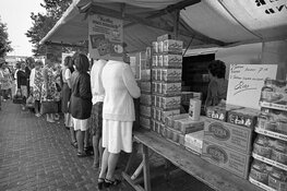 Het Goede leven: Nieuwenhuijzenlezing door Annegreet van Bergen –Boekenweek