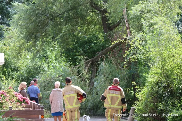 Schade door storm