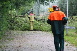 Schade door storm